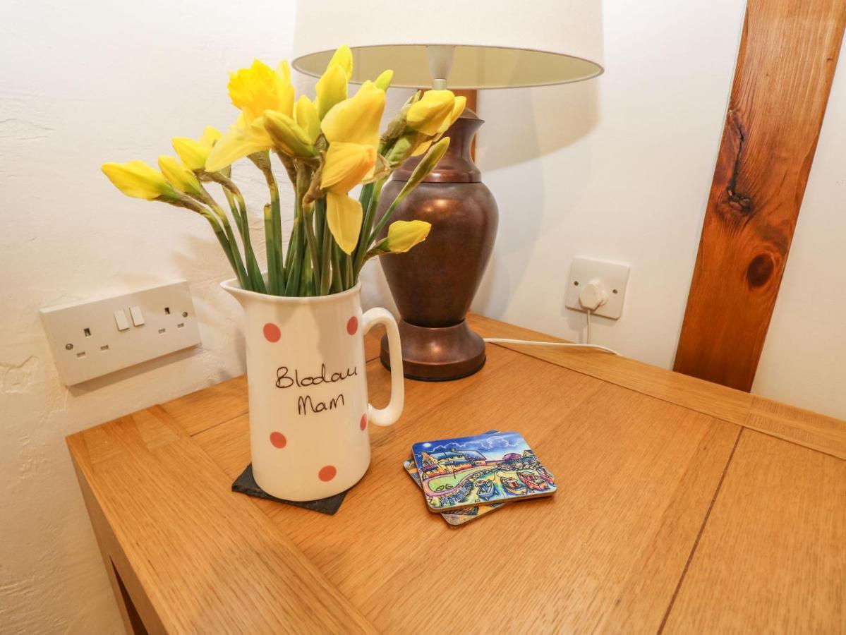 Vila Ty Crydd Kidwelly Exteriér fotografie
